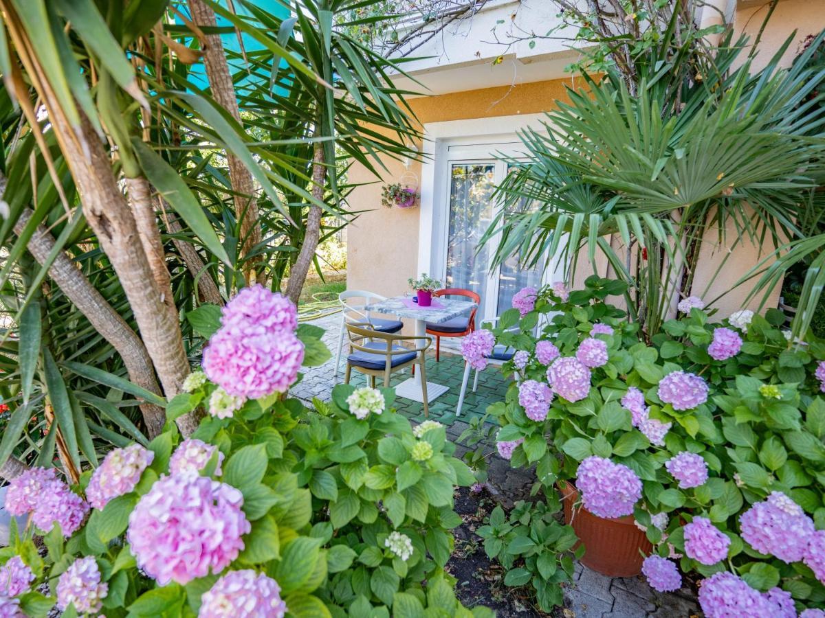 Apartments Villa Rudi Bibinje Extérieur photo