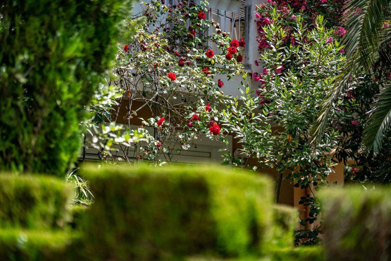 Apartments Villa Rudi Bibinje Extérieur photo