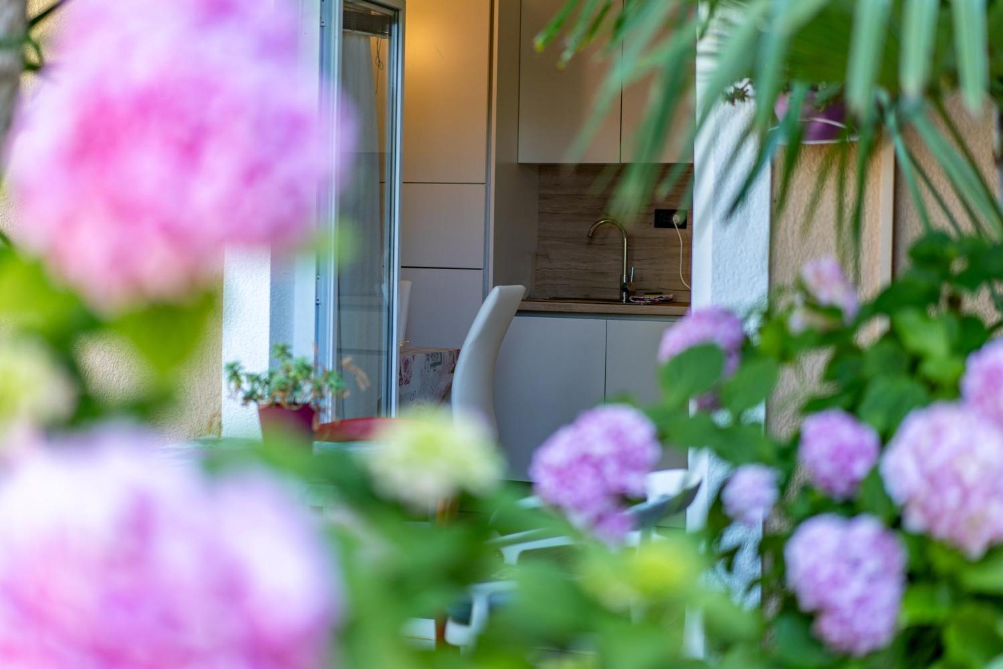 Apartments Villa Rudi Bibinje Extérieur photo